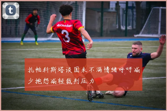 扎帕科斯塔谈国米不满情绪呼吁减少抱怨减轻裁判压力