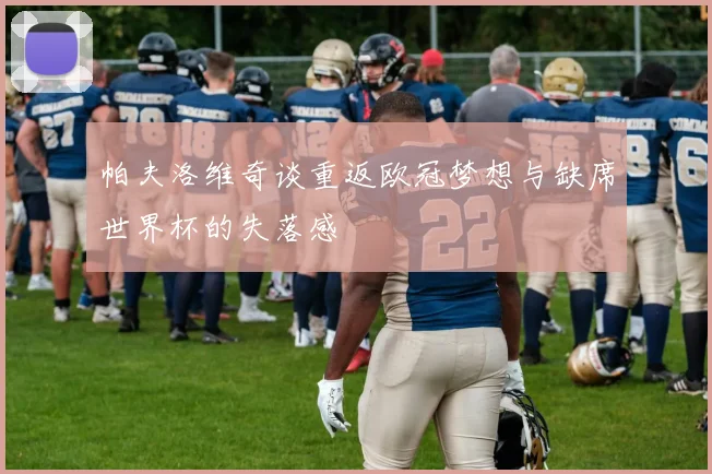 帕夫洛维奇谈重返欧冠梦想与缺席世界杯的失落感